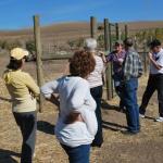 cambria2012_0048 (November 02, 2012)